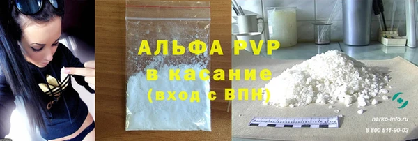 крисы Бронницы