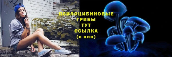 PSILOCYBIN Богданович