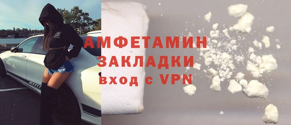 крисы Бронницы