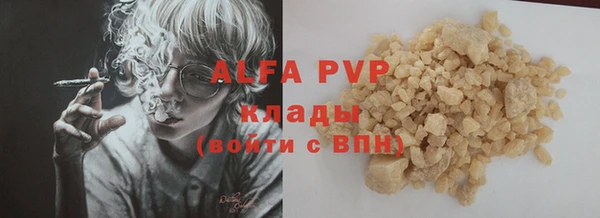 PSILOCYBIN Богданович