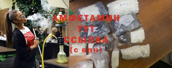 ПСИЛОЦИБИНОВЫЕ ГРИБЫ Верея