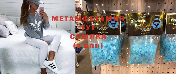 ПСИЛОЦИБИНОВЫЕ ГРИБЫ Верея