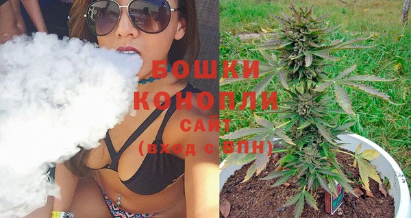 ПСИЛОЦИБИНОВЫЕ ГРИБЫ Верея