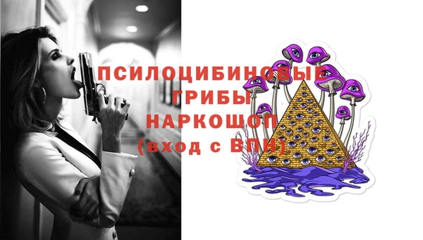 ALPHA PVP Богородск