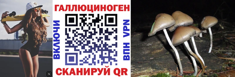 Галлюциногенные грибы ЛСД  Сретенск 